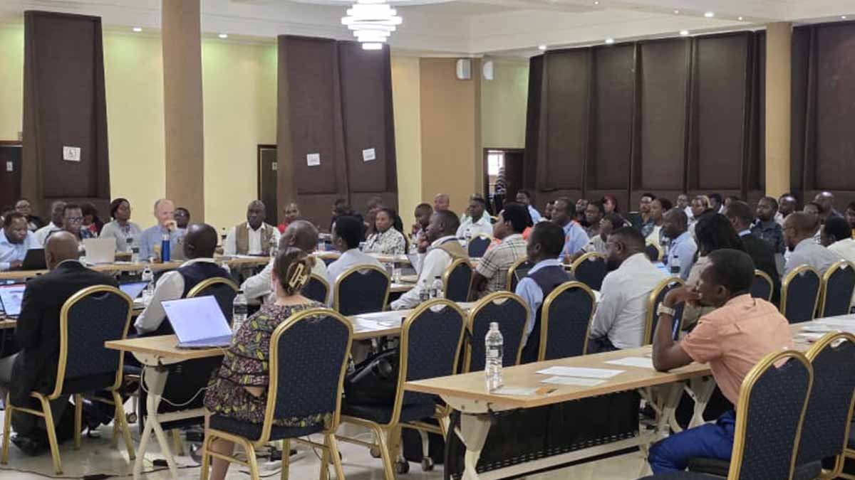 https://testwebsite.pihmalawi.com/Building Sustainable Capacity