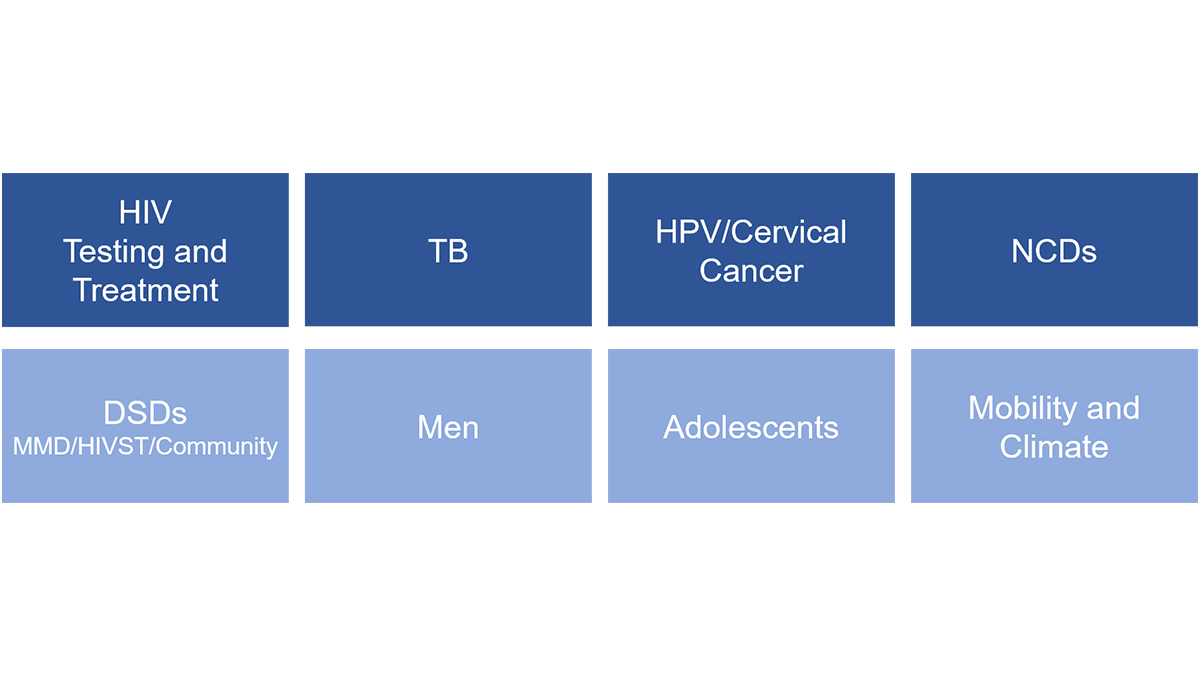 https://testwebsite.pihmalawi.com/Core Focus Areas